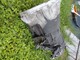 Mercedes-benz Sprinter MB Sprinter (W901-905) 95-07