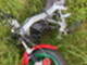 Peugeot Jet Force