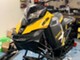Ski-Doo Summit Koko kelkka osina!