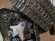 Can-Am XT