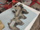ford-s-max-