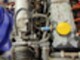 bosch-