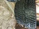 michelin-