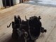 toyota-avensis-16-4afe-t22-
