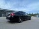 forzza-bozan-