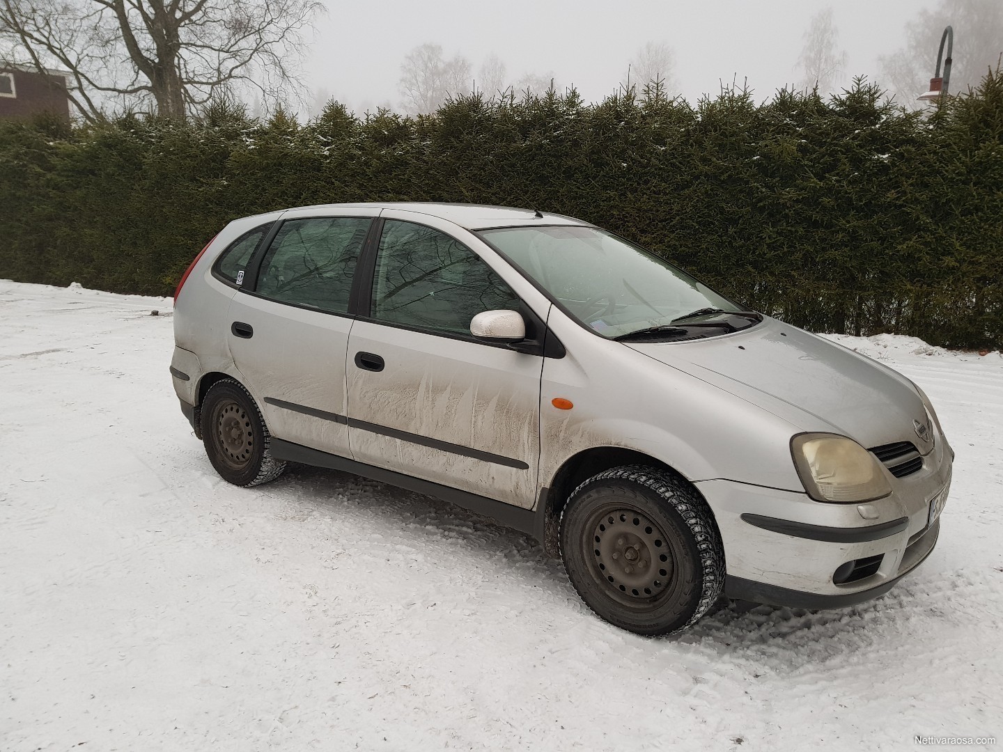 Nissan almera tino масло