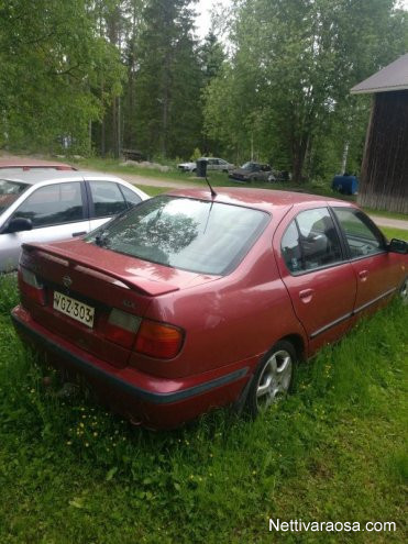 Nissan primera p11 1998