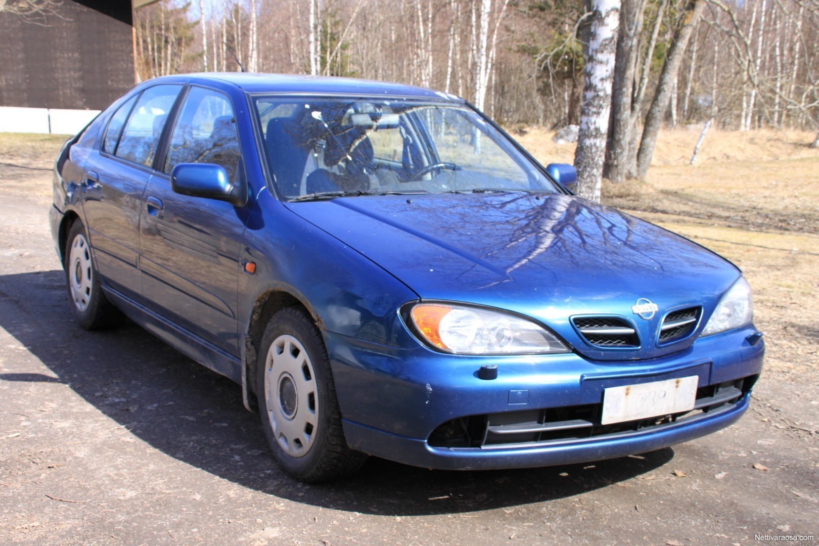 Nissan primera в россии